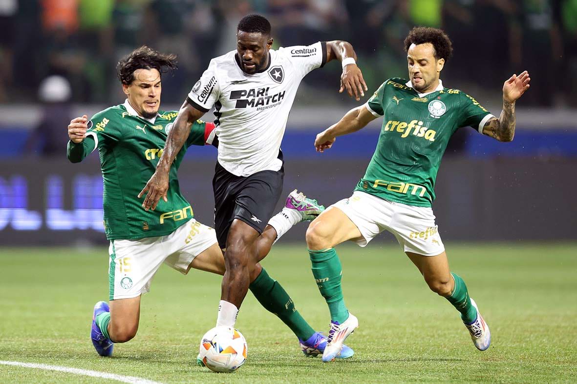Jogadores do Palmeiras e Botafogo disputando a bola
