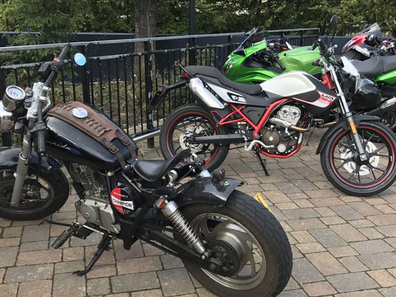 UM Renegade Scrambler 2017
