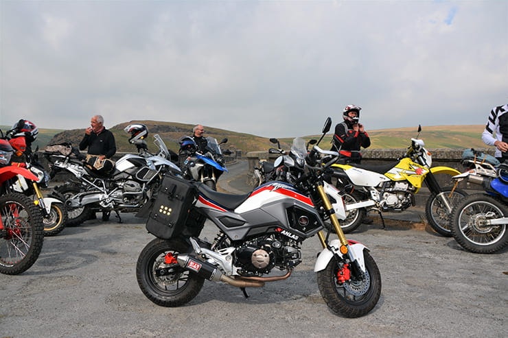 off road wales Bennetts rewards trail