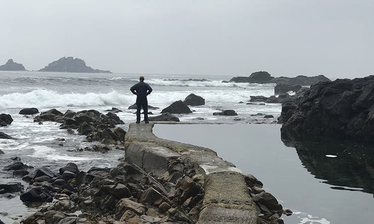 Cream Tea and Coastal Adventure Review
