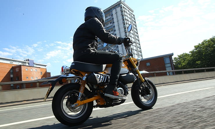 Honda Monkey (2018) | Review