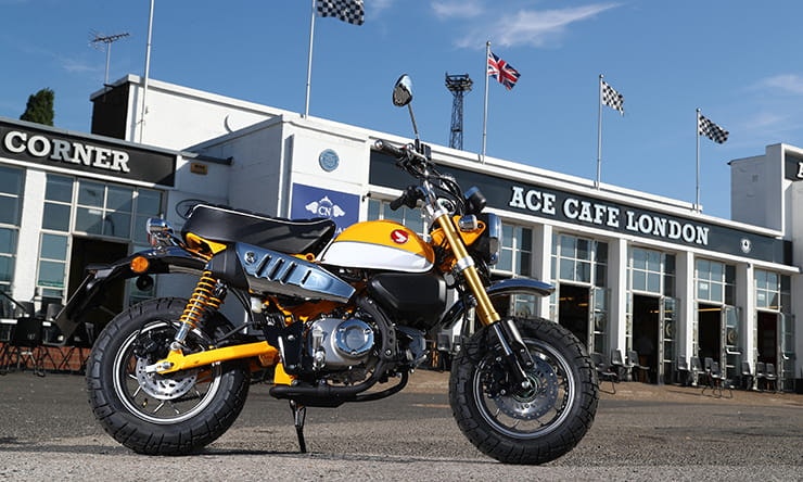Honda Monkey (2018) | Review