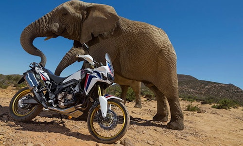 Honda CRF1000L Africa Twin (2016-current): Review & Buying Guide