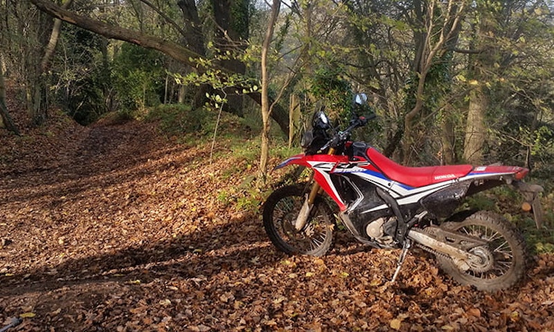 2017 Honda CRF205 Rally review