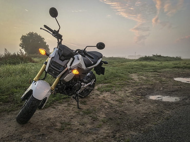 COMMUTING_2017 Honda MSX125 Grom