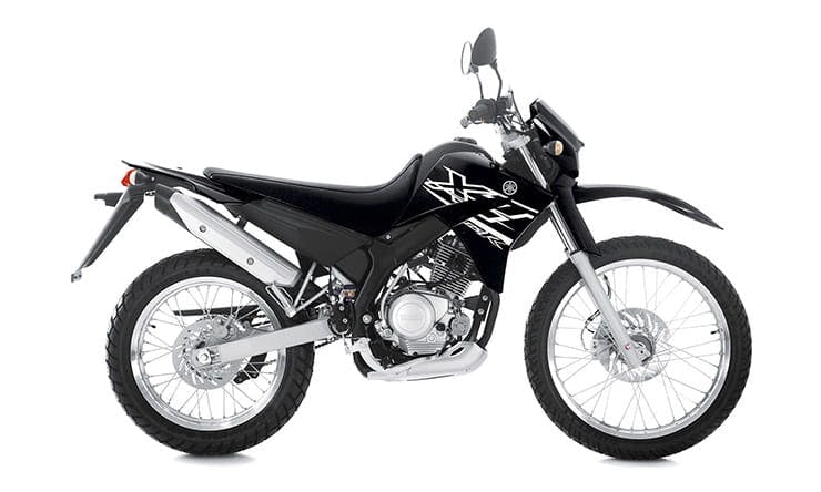 Top 10 learner bikes for tall riders