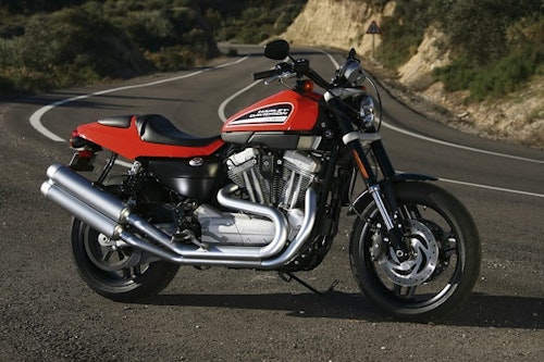 Harley-Davidson XR1200 (2008 - 2013): Future Classic