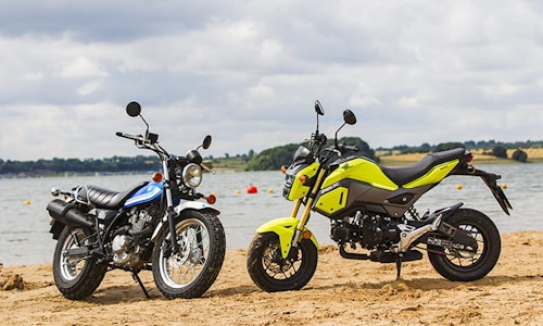 The coolest kids in the class: Honda MSX125 vs Suzuki VanVan