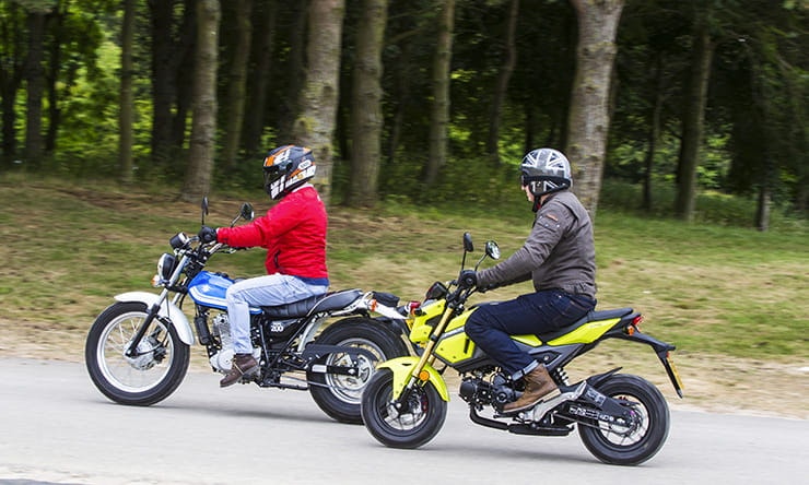 Suzuki VanVan 200 and Honda MSX125