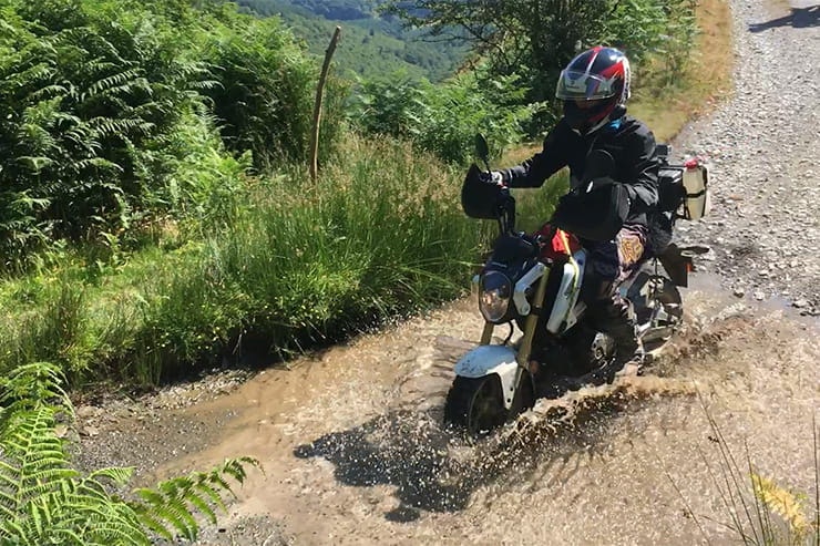 perfect-trail-bike-grom-msx-husband-wife-adventure