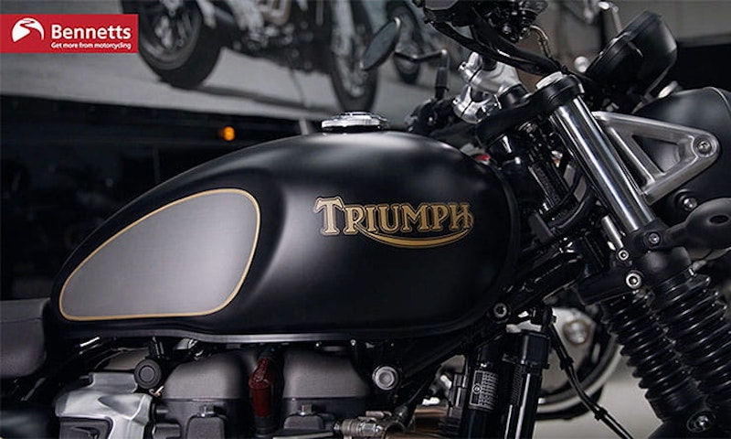 Triumph painting_8