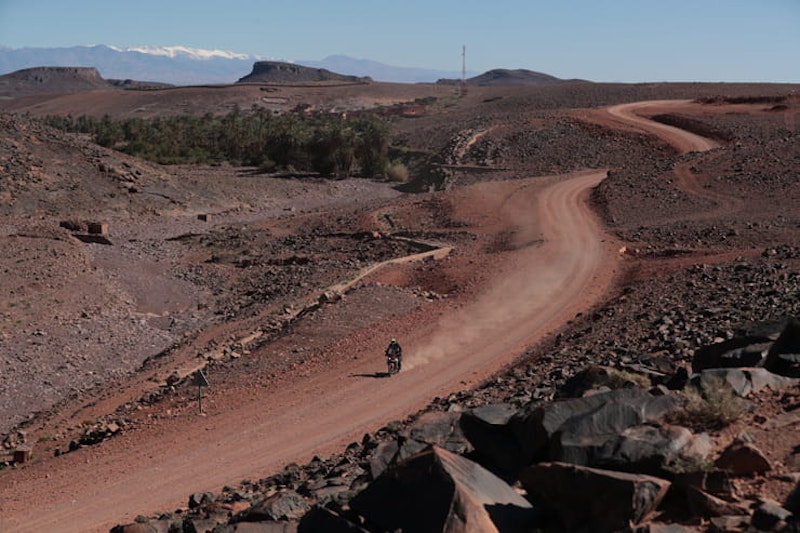 Bridgestone T31 and A41 Review BikeSocial