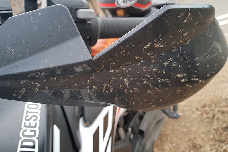 Seven Adventures on a KTM 790 Adventure –7. Treasure Hunt