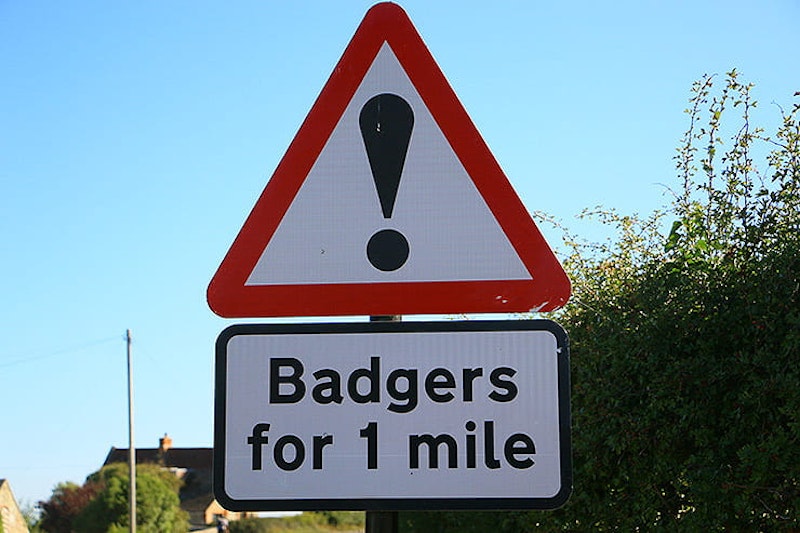 BikeSocial rides the 12.mile Chale course on the Isle of Wight to bring you the world’s first circuit guide...
