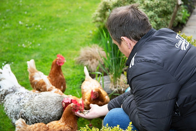 JOHN-McGUINNESS-AND-HIS-CHICKENS