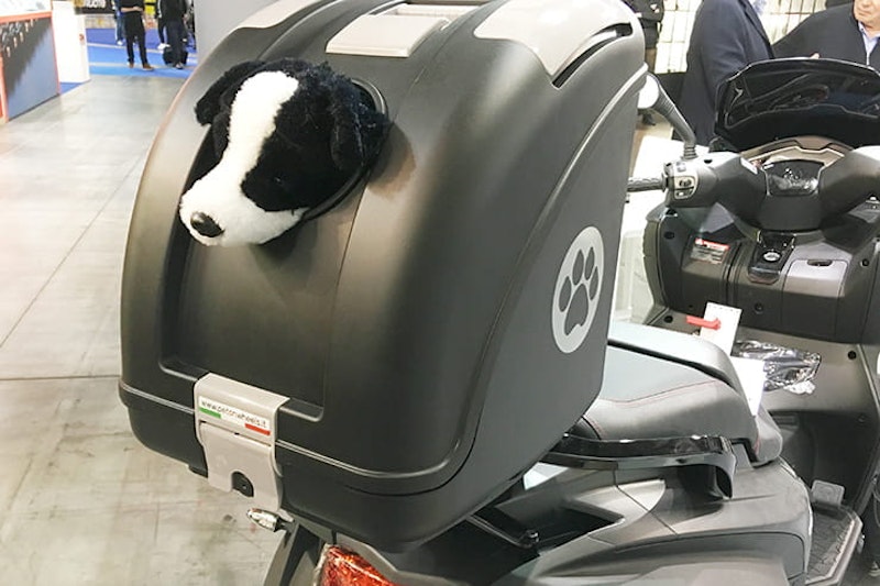 Pet on Wheels