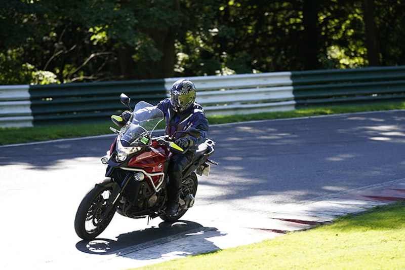 Track day requirements lever guard back protector_04