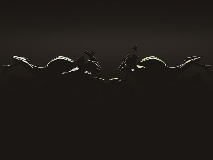 Kawasaki Ninja 125 and Z125 (2019): Secret details revealed
