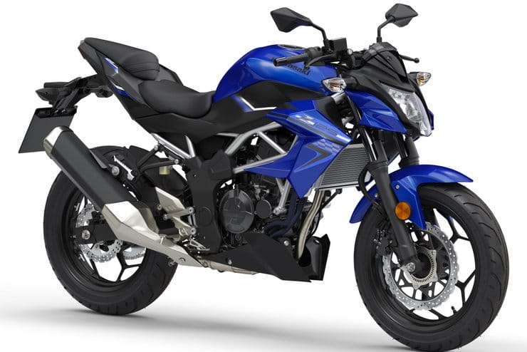 2019 Kawasaki Z125