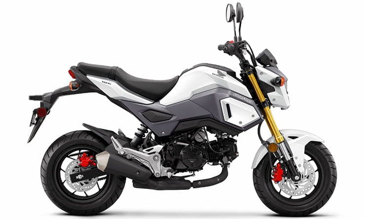 Honda MSX125 Grom Mini-Africa Twin Build | Tail Tidy Project