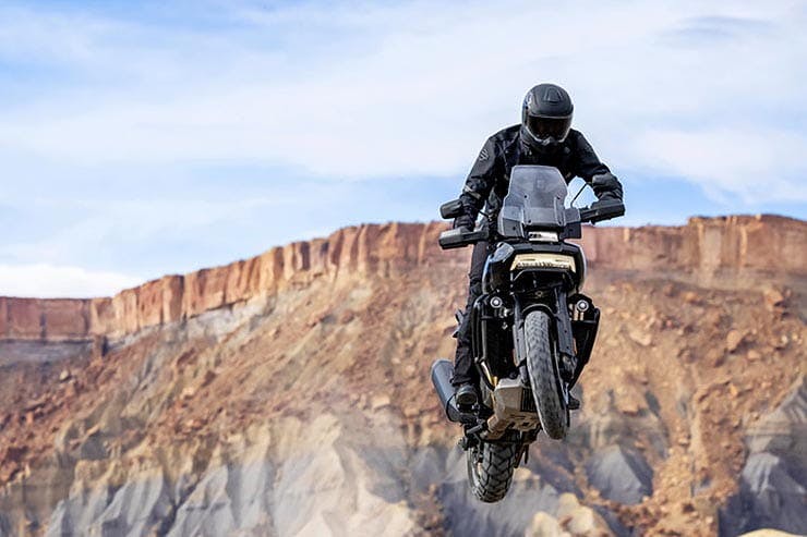 Harley enduro 2021 hotsell