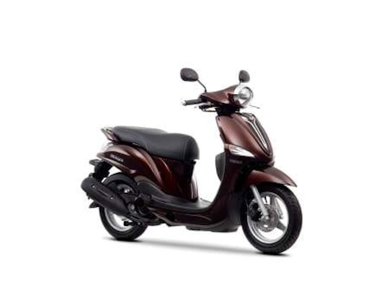 Yamaha D'elight in Magnetic Bronze