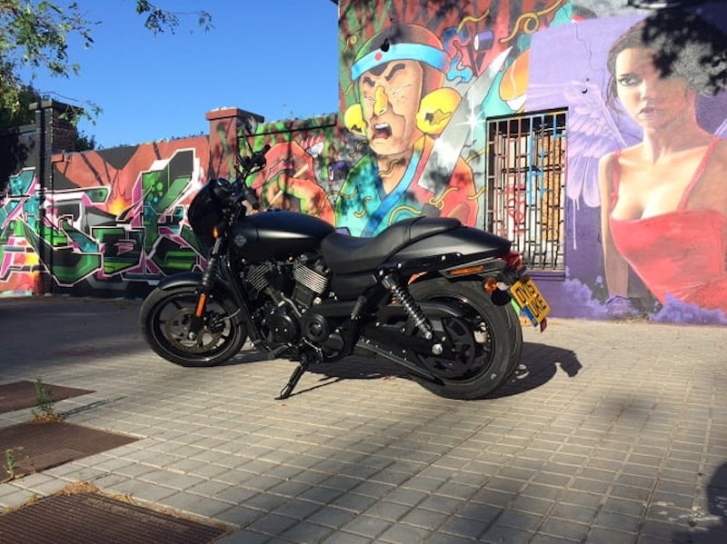 In its natural 'Urban' environment