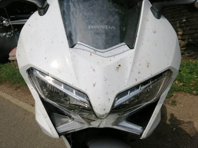 VFR's screen collects many flies under the lower opening - touch to clean