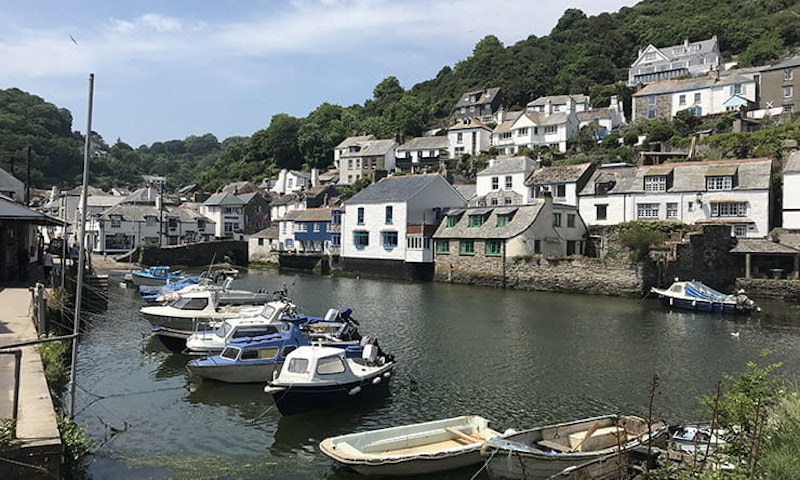 Cream Tea and Coastal Adventure Review