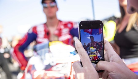 bsb_gridwalks
