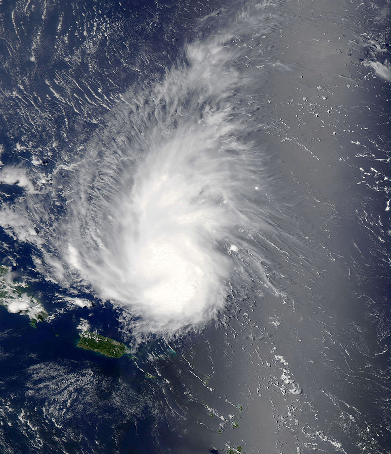1714372668-tropical-wave-