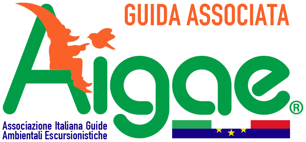 https://www.aigae.org/
