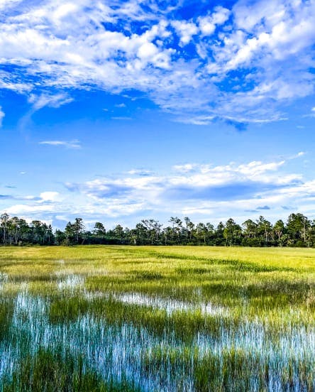 pastures