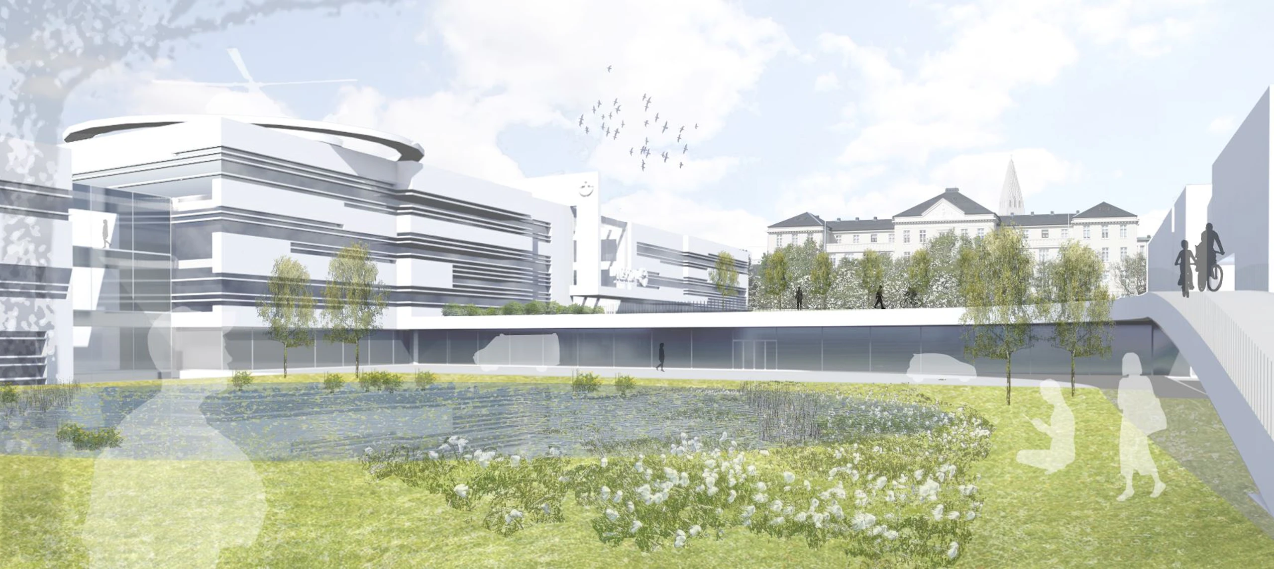 Háskólasjúkrahús