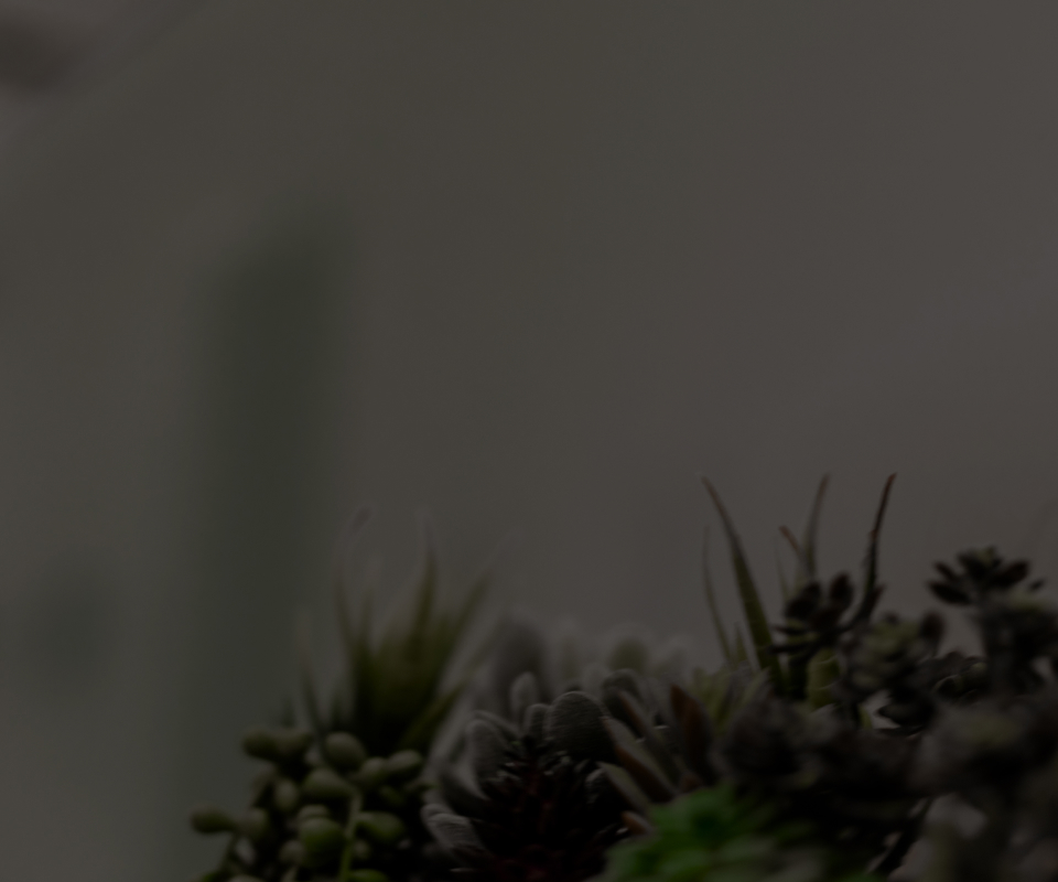 Elite Plastic Surgery Cosmetic and Reconstructive Surgeons in Phoenix, AZ