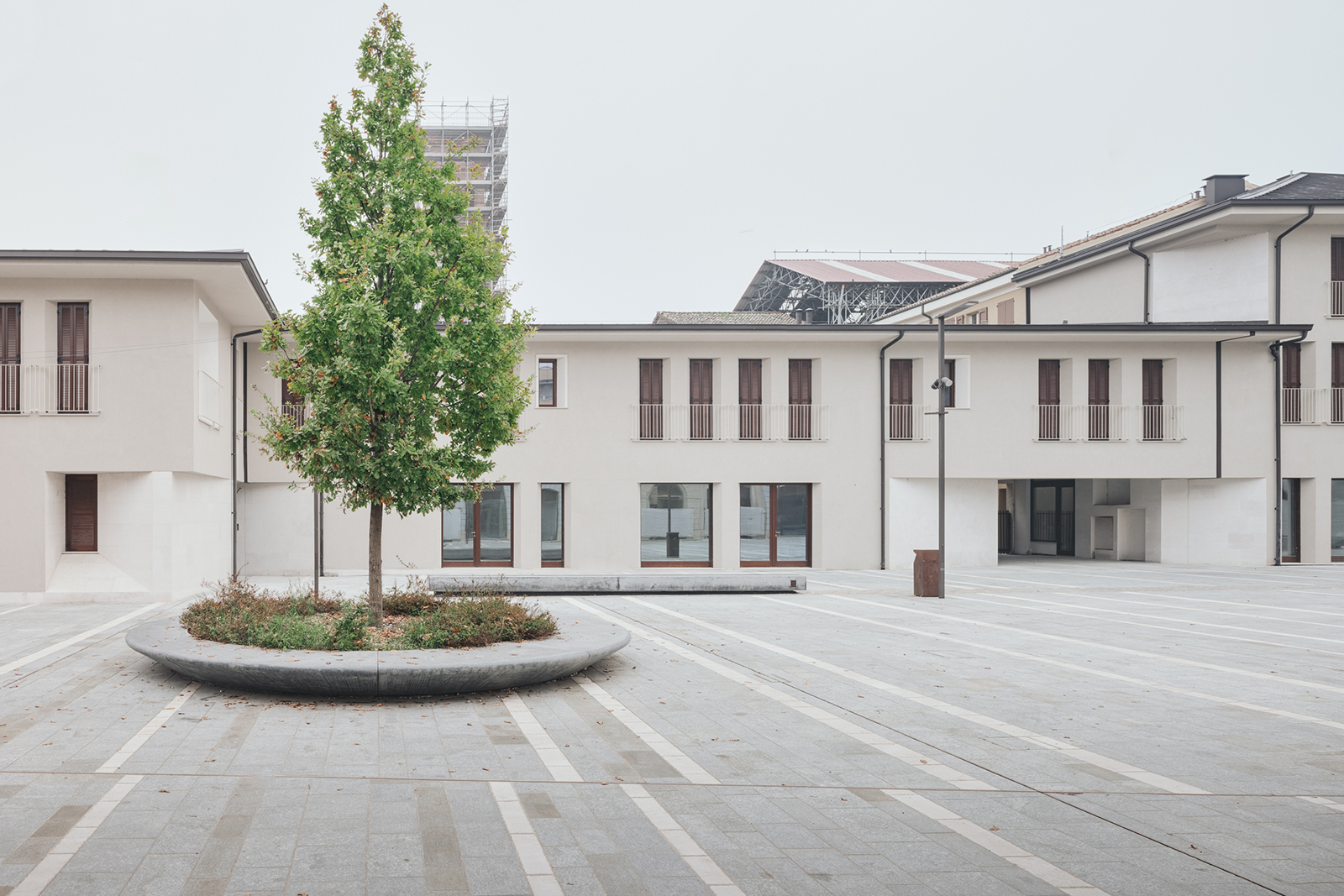 concordia sulla secchia - albero