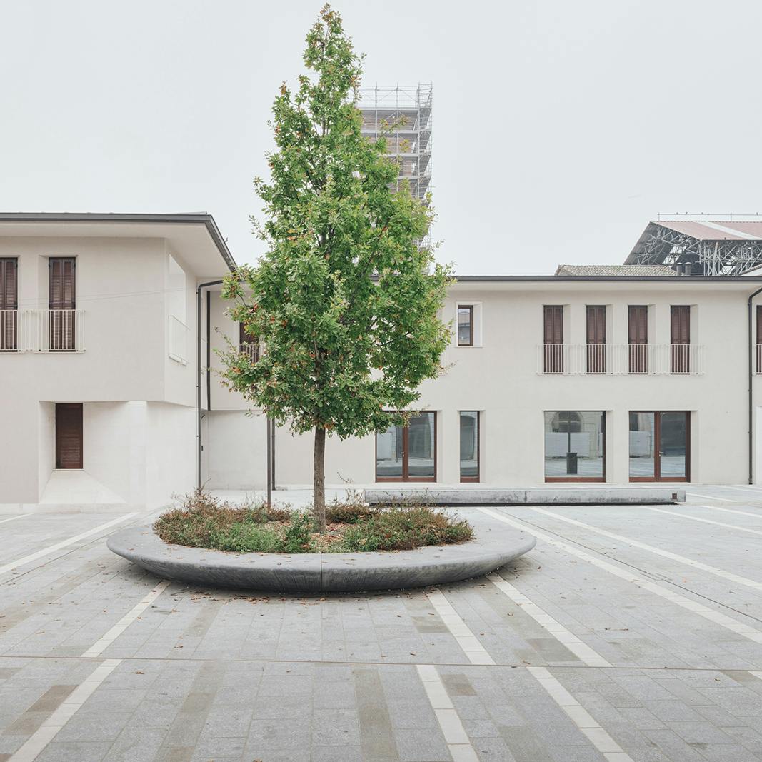 concordia sulla secchia - albero concordia sulla secchia - albero