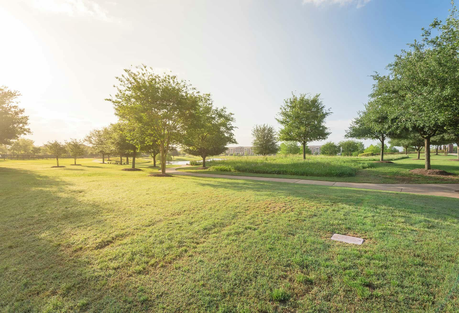 A large field with trees
