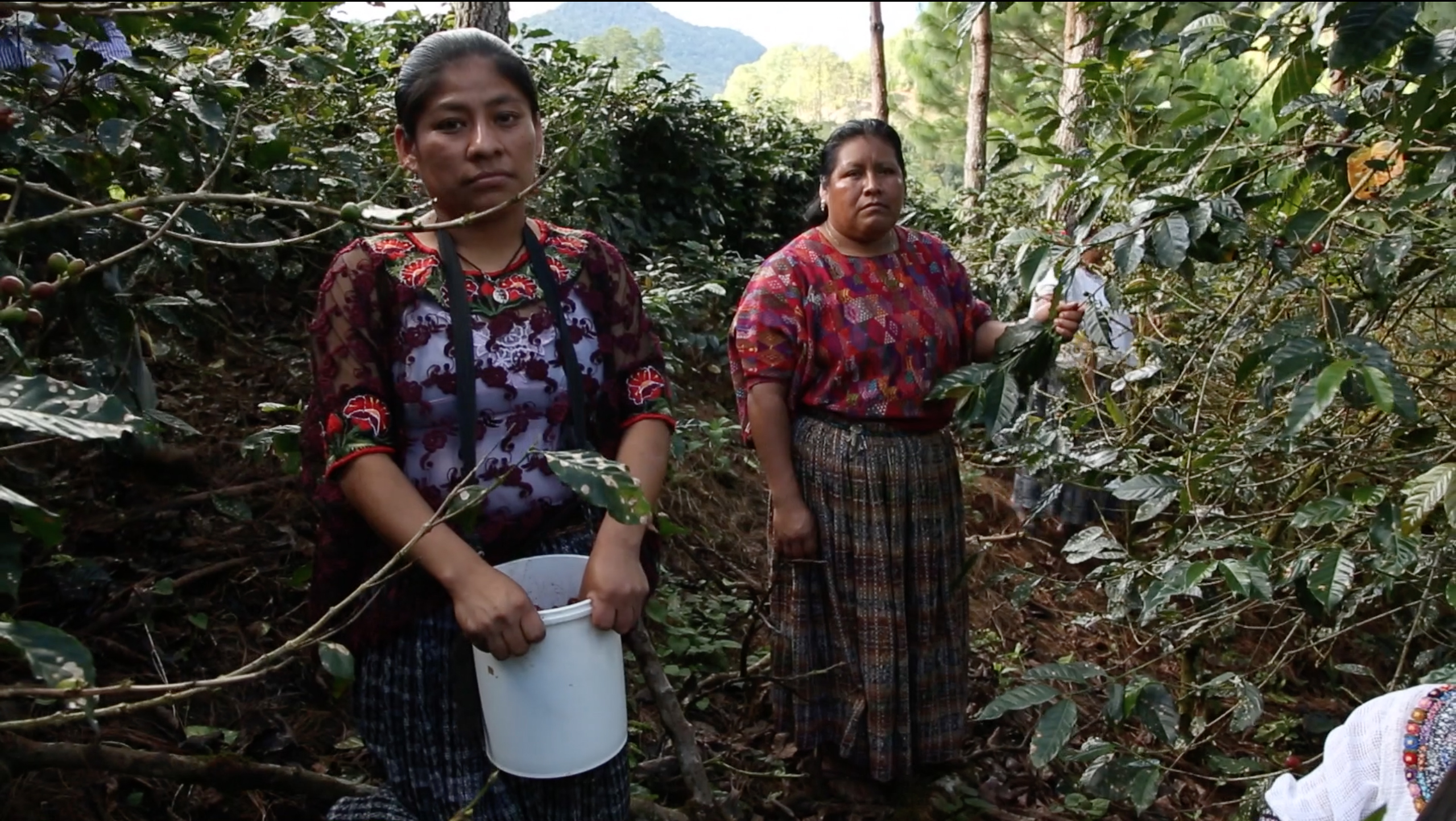 Best Sustainable Practices Development Cinemambiente Media