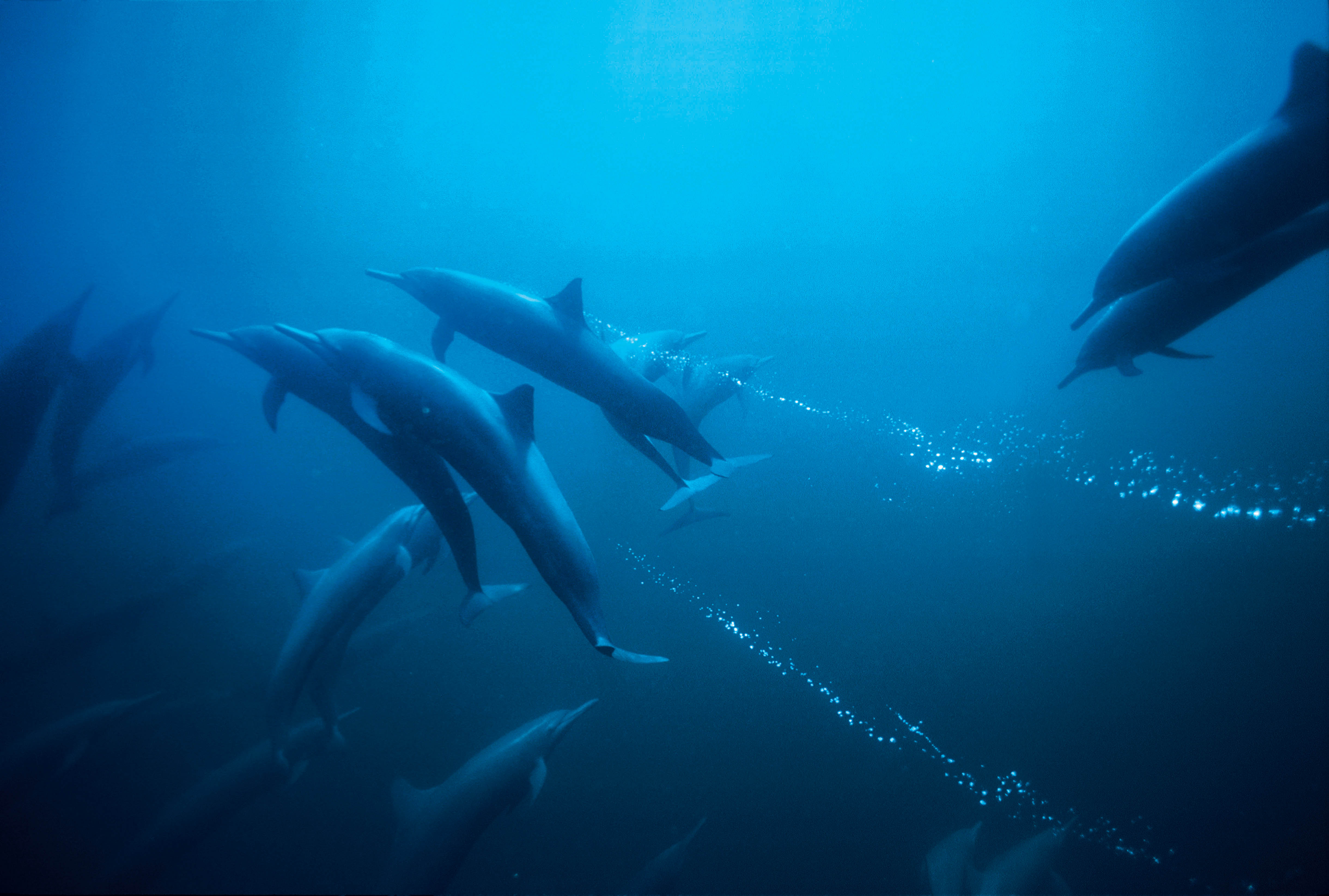 Deep Blue - Cinemambiente Media