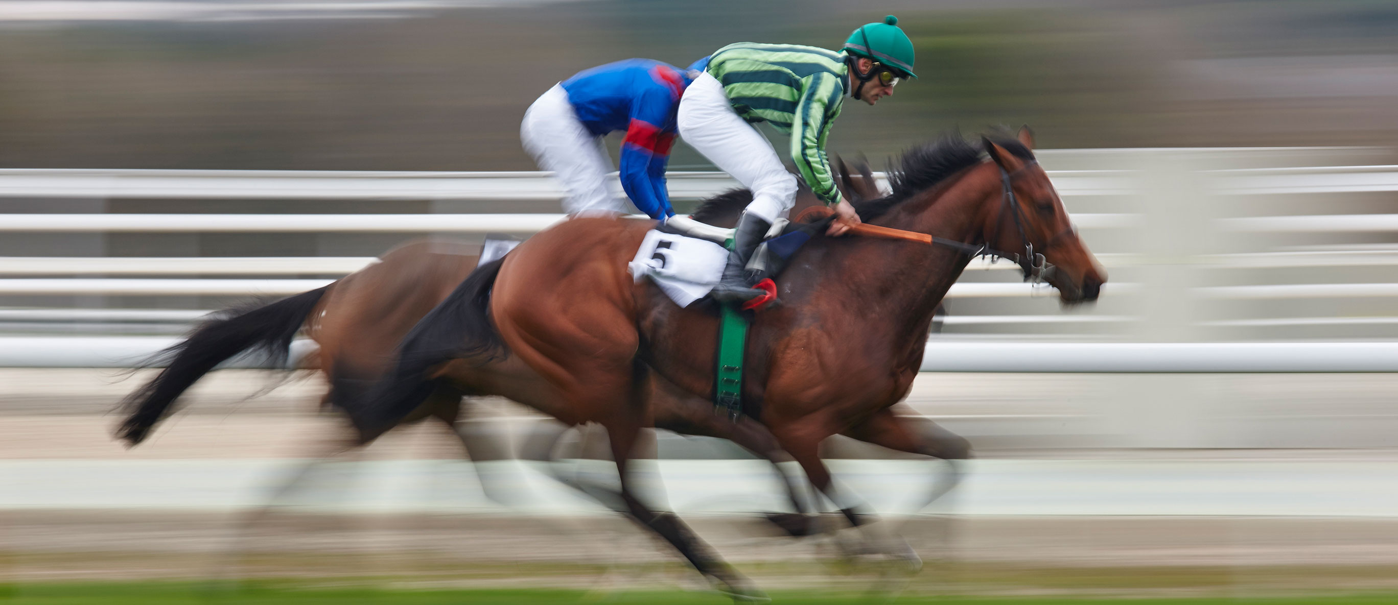 🐴 Matchfixing bij paardenraces en paardensport - Matchfixing.nl