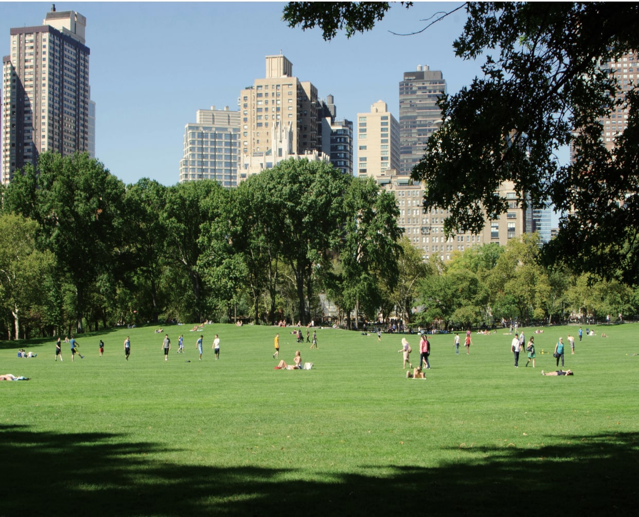 People in Central Park near 53 West 53
