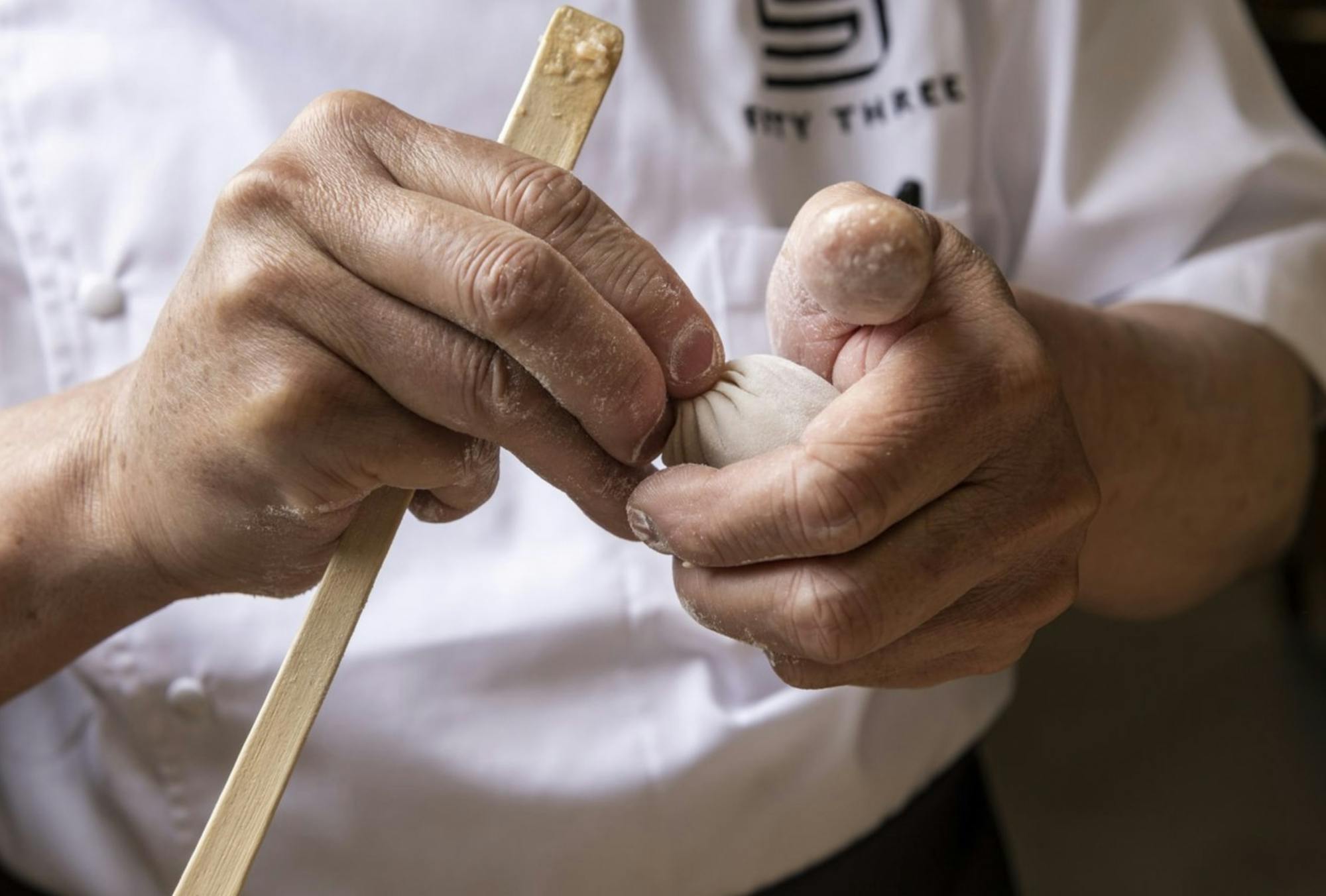Closeup of hands making a dumpling