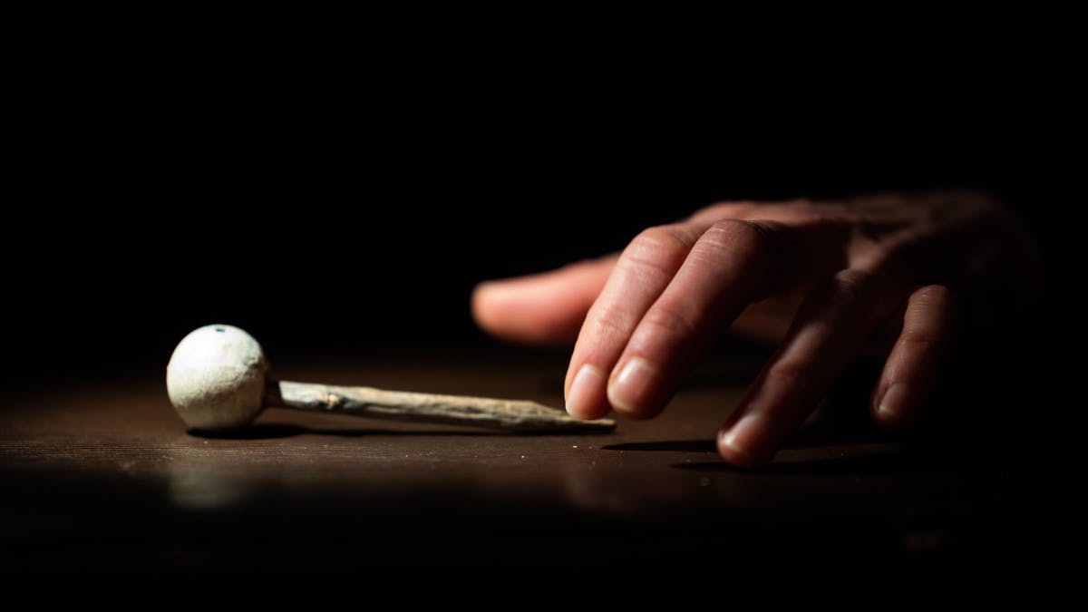 Alma_lutkovno-gledalisce-maribor_bostja