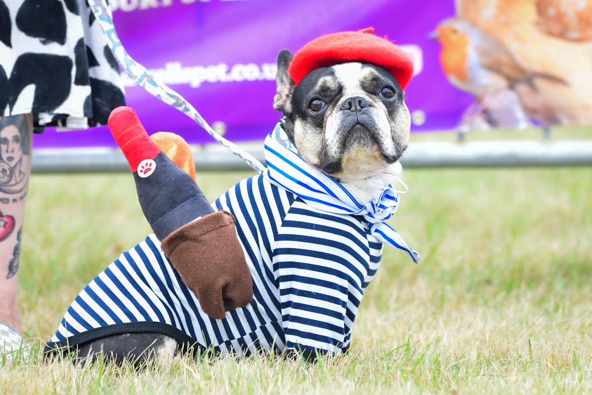 National Dog Day 2024 Uk Debor Olympia
