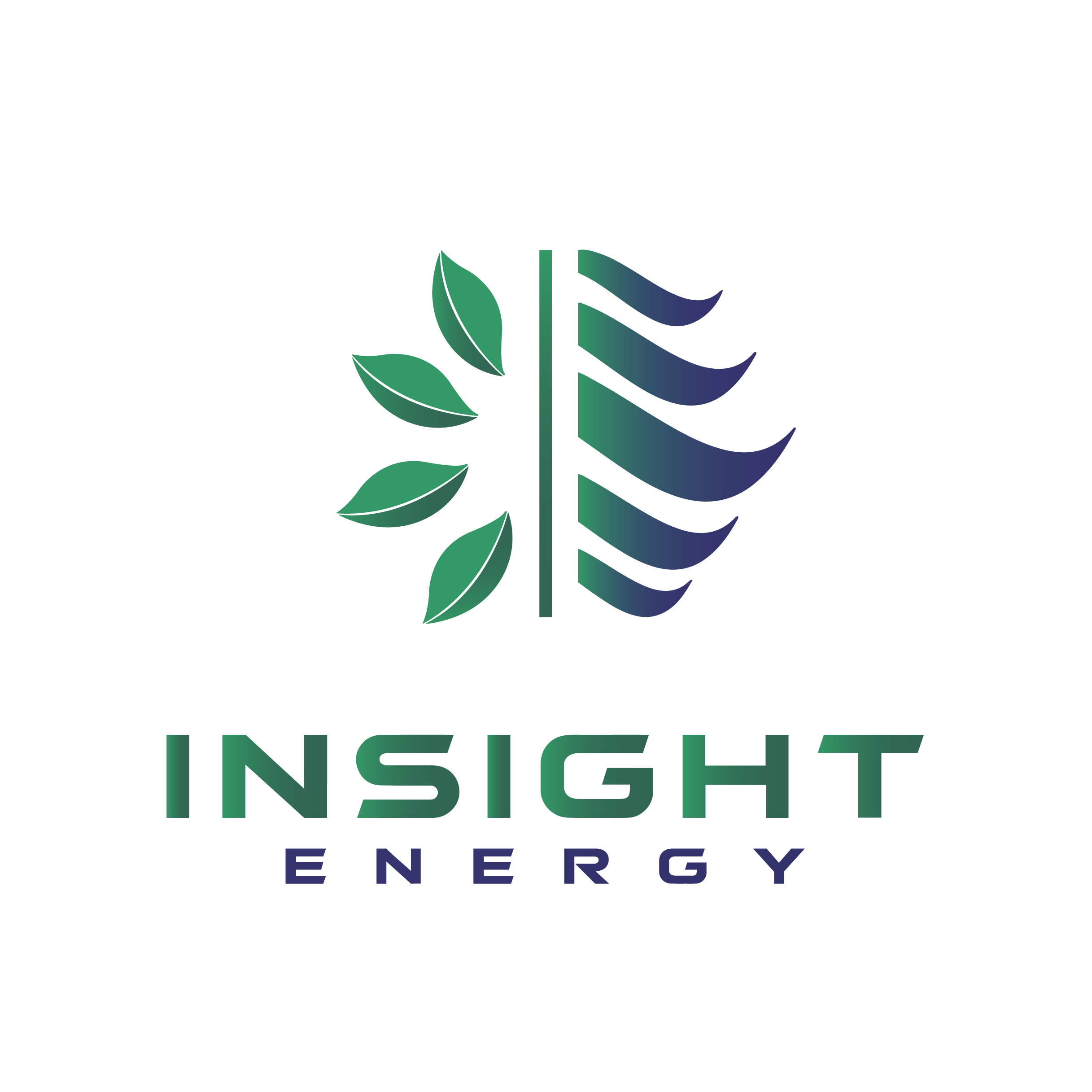 Insight Energy logo