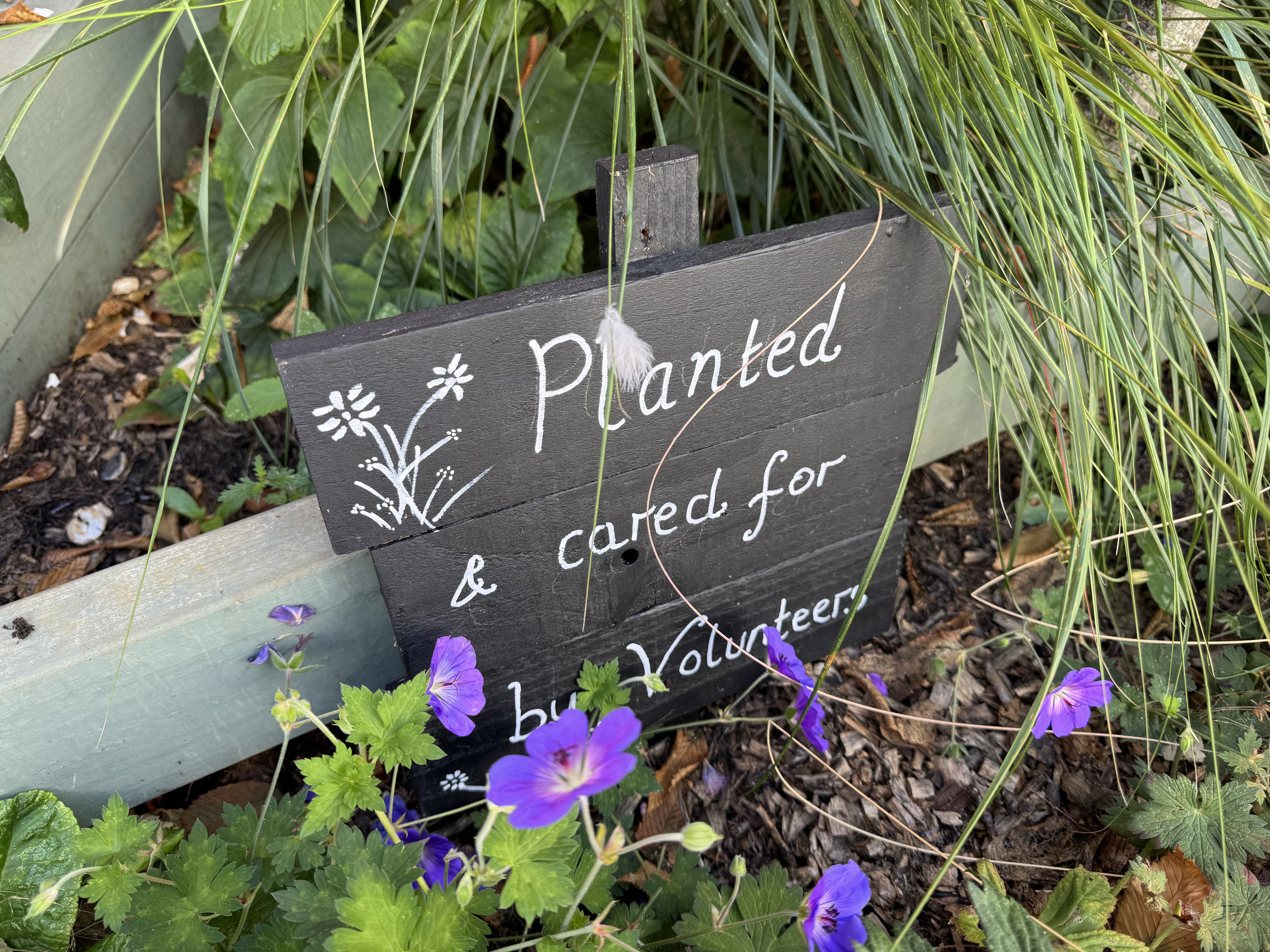 The planters are planted and cared for by volunteers