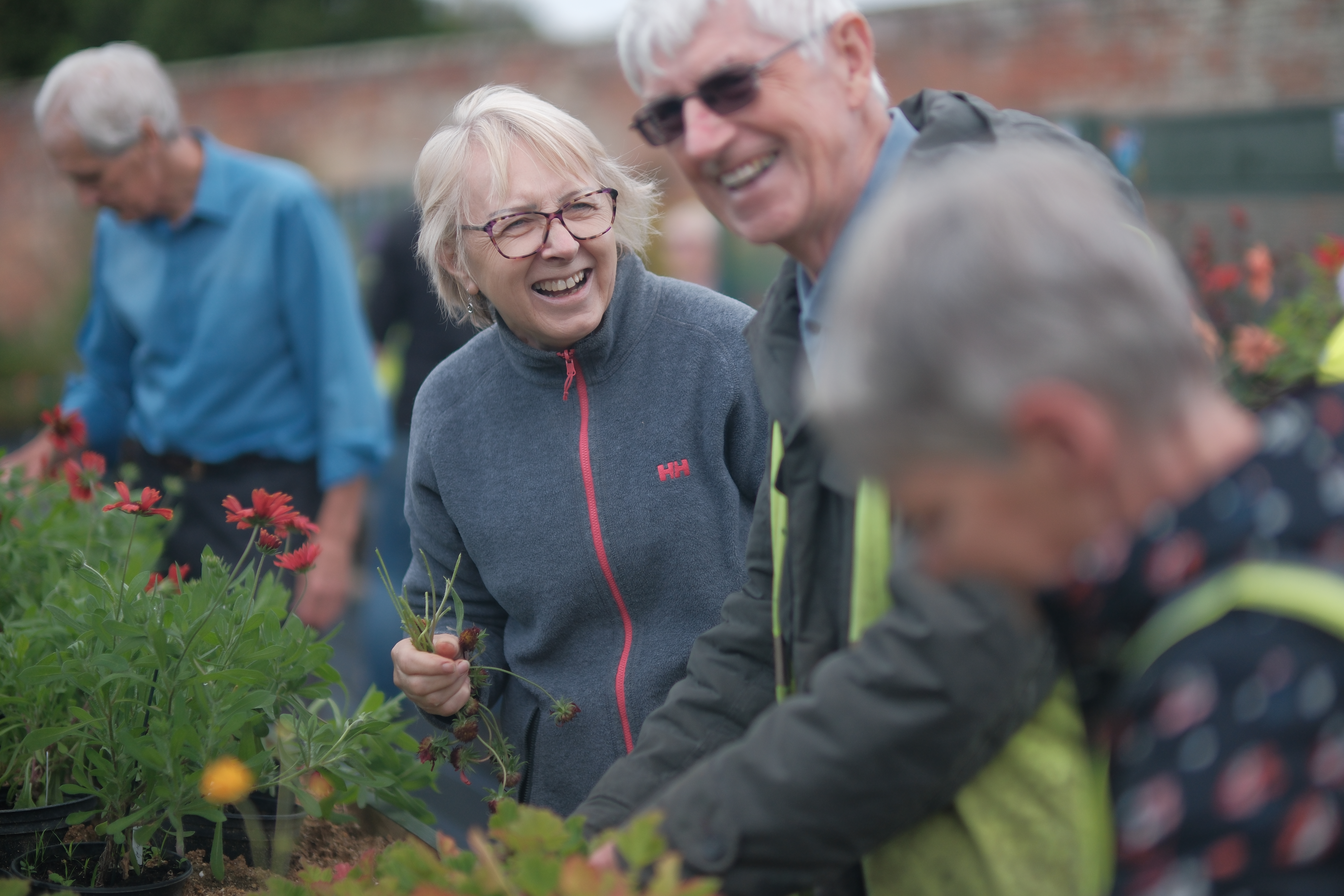 Smiling visitors choosing plants at the ActivLives autumn plant sale in Chantry Park’s walled garden