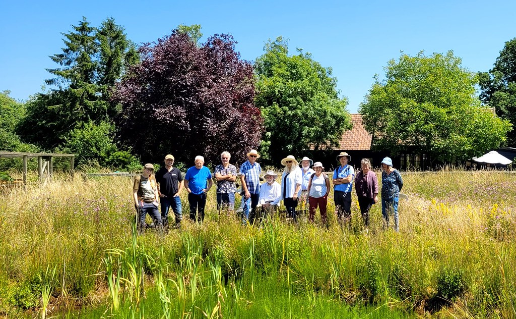 A group of people standing in a wildflower meadow at a Suffolk Wildlife Trust Private Nature Reserve event