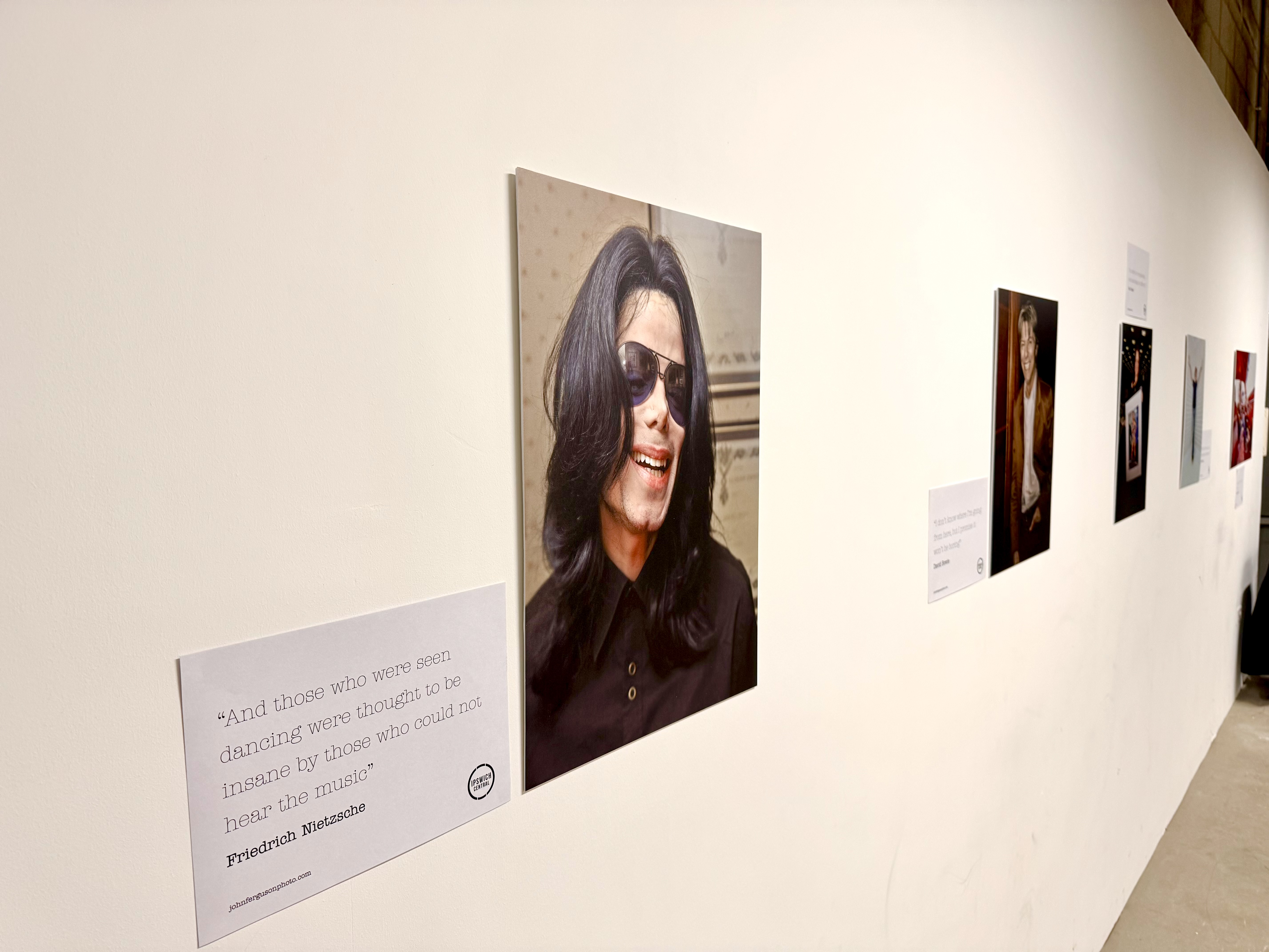 Just a few examples of John Ferguson's work on display at the Buttermarket